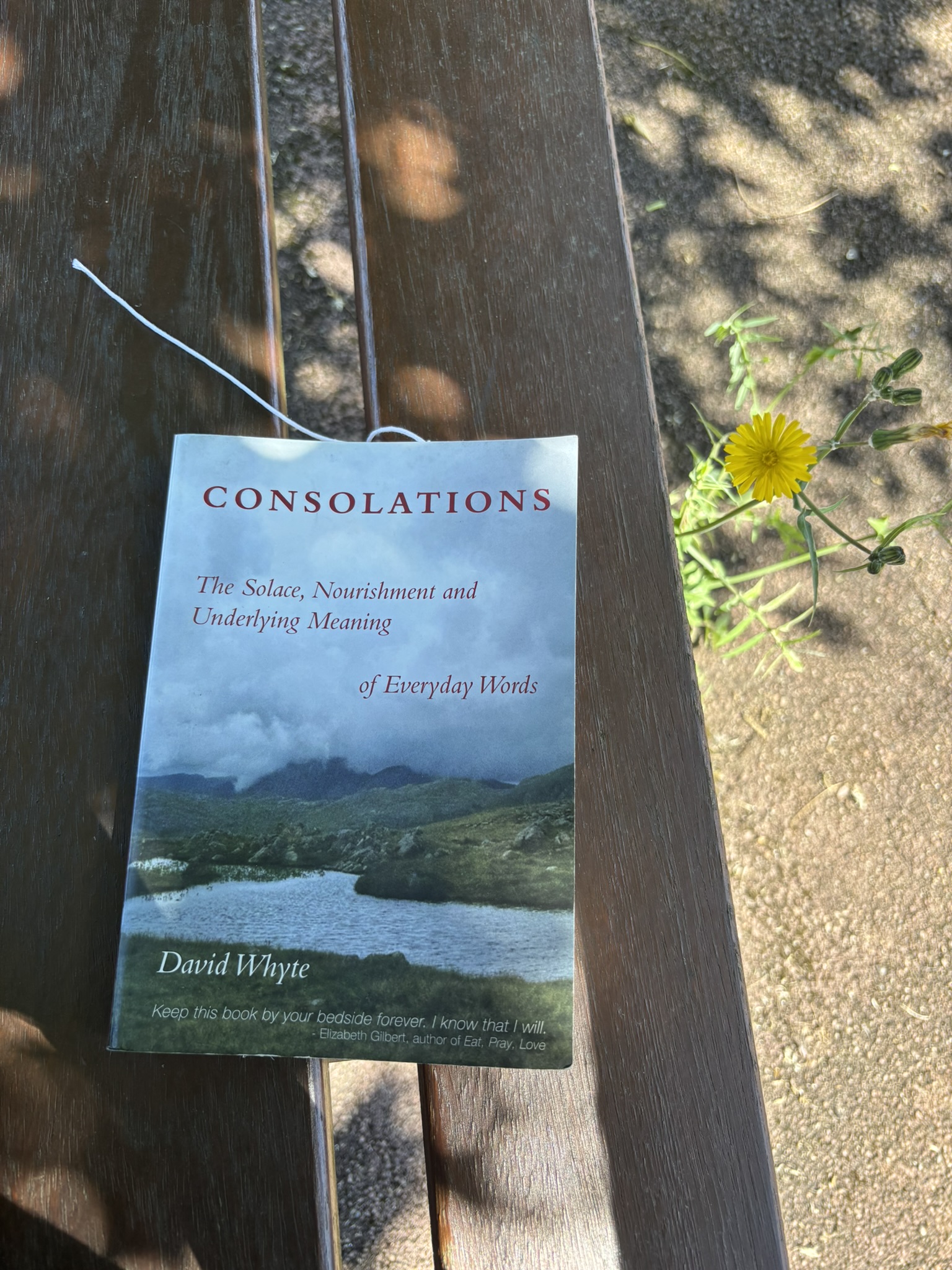 consolations